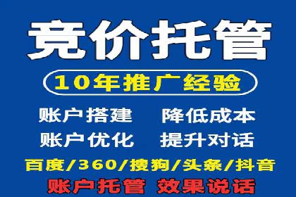 竞价广告投放技巧：如何提高转化率——案例分析